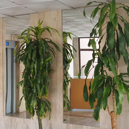 Apartamento Virginia-48 *