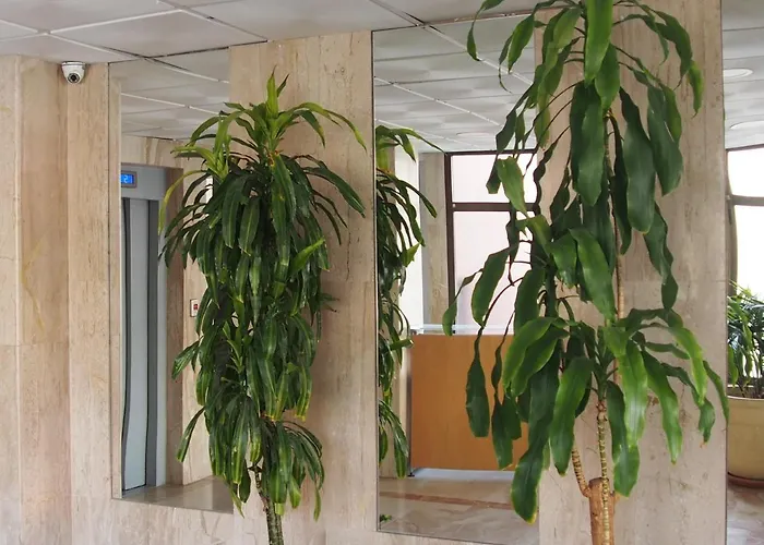 Apartman Virginia-48 *